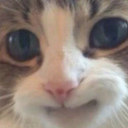 choo.png24